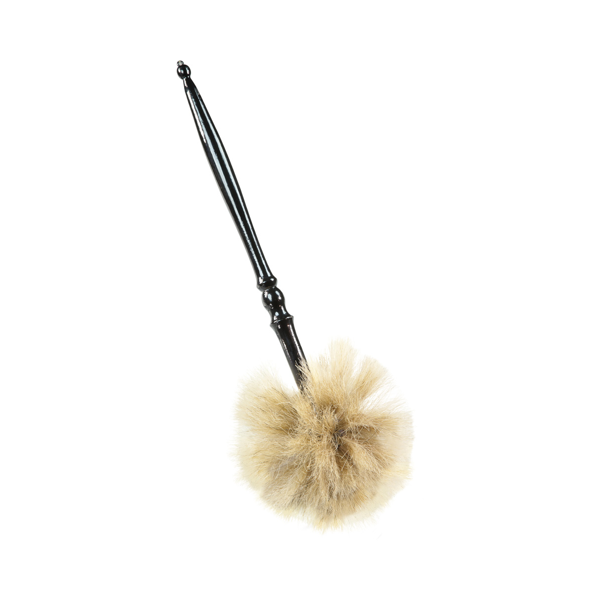 Borstenaspergil  35cm