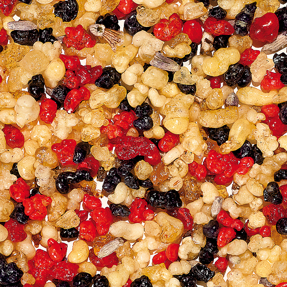 WR3 "Holländisch Nr. 3"