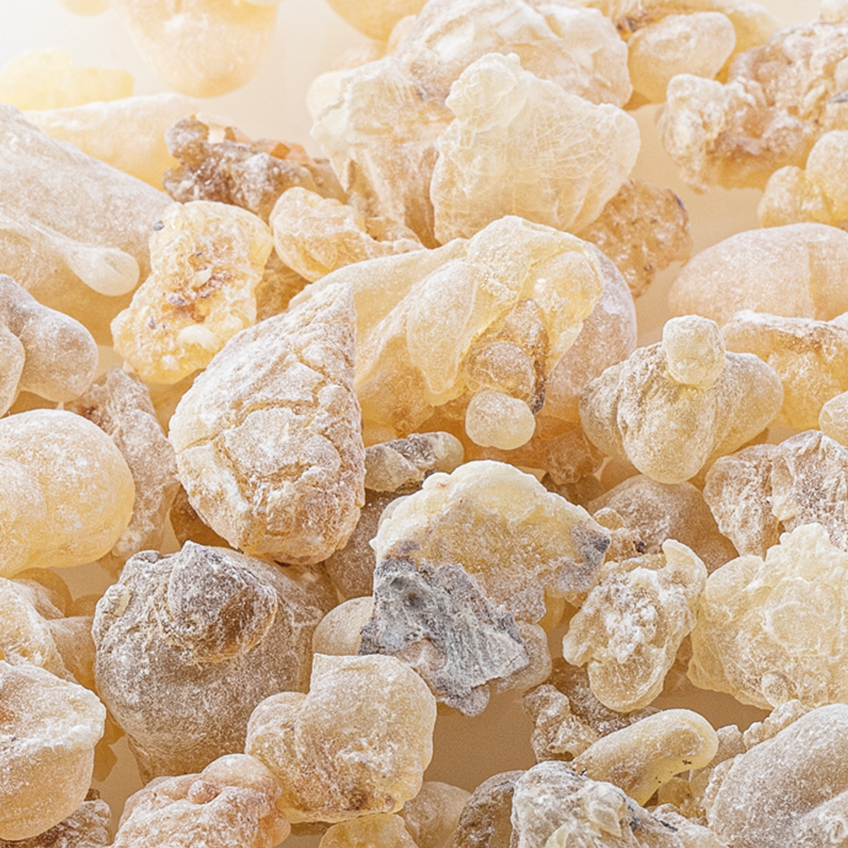 WR57 "Weihrauch Al-Hojari"