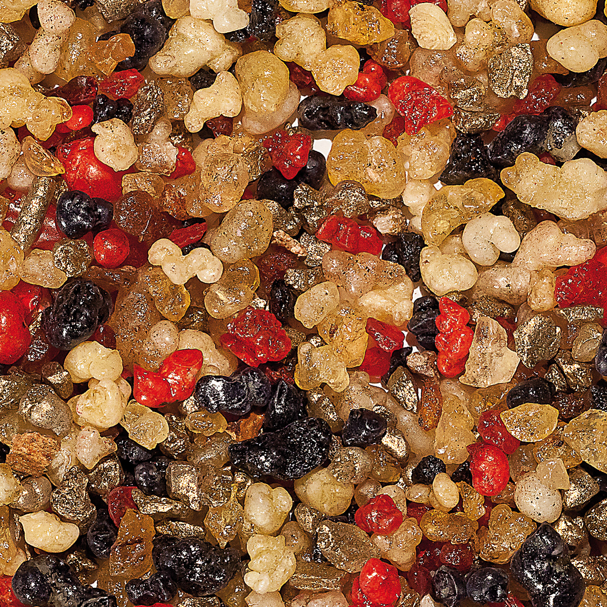 WR14 "Holländisch Nr. 14"