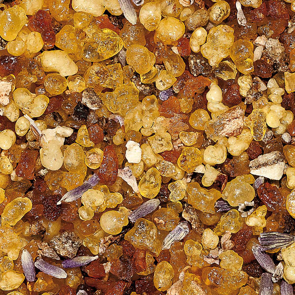 WR1 "Gloria",  Muster 10 gr.