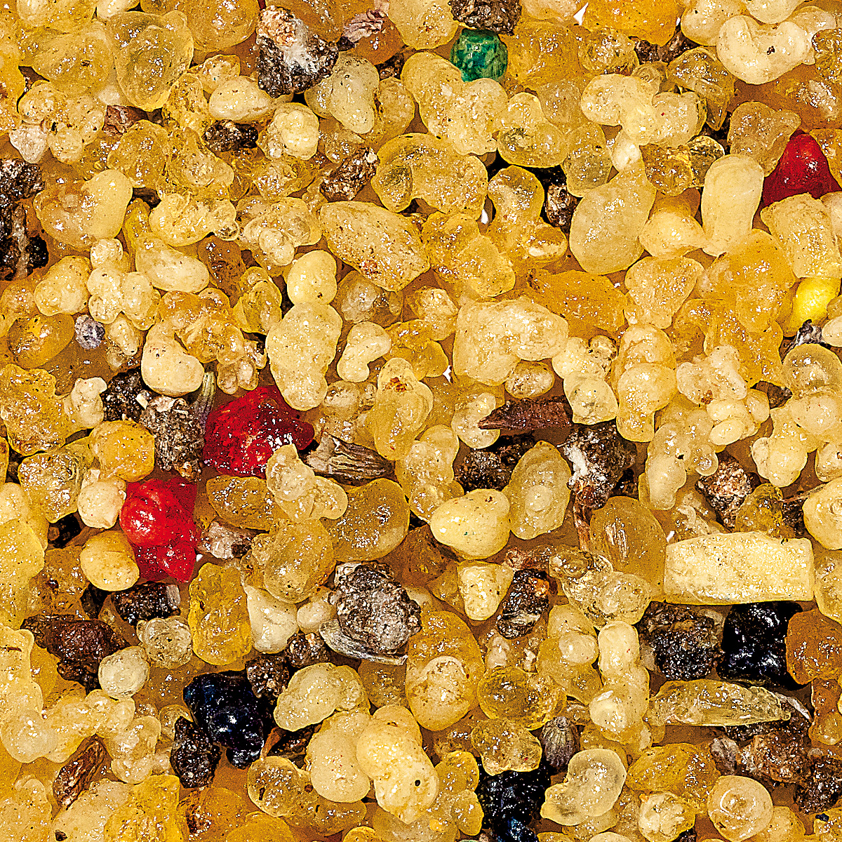 WR37M "Pacem", Muster 10 gr.