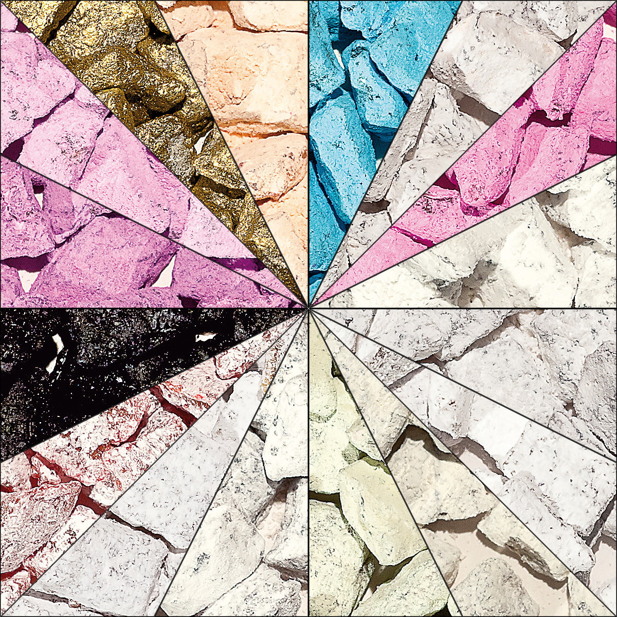 Musterpaket von 16 Sorten