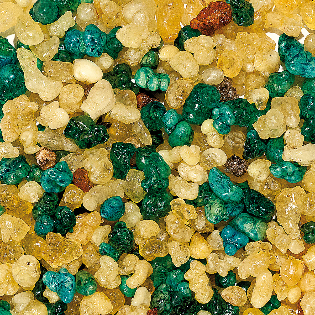 WR35M " Morgenland", Muster 10 gr.