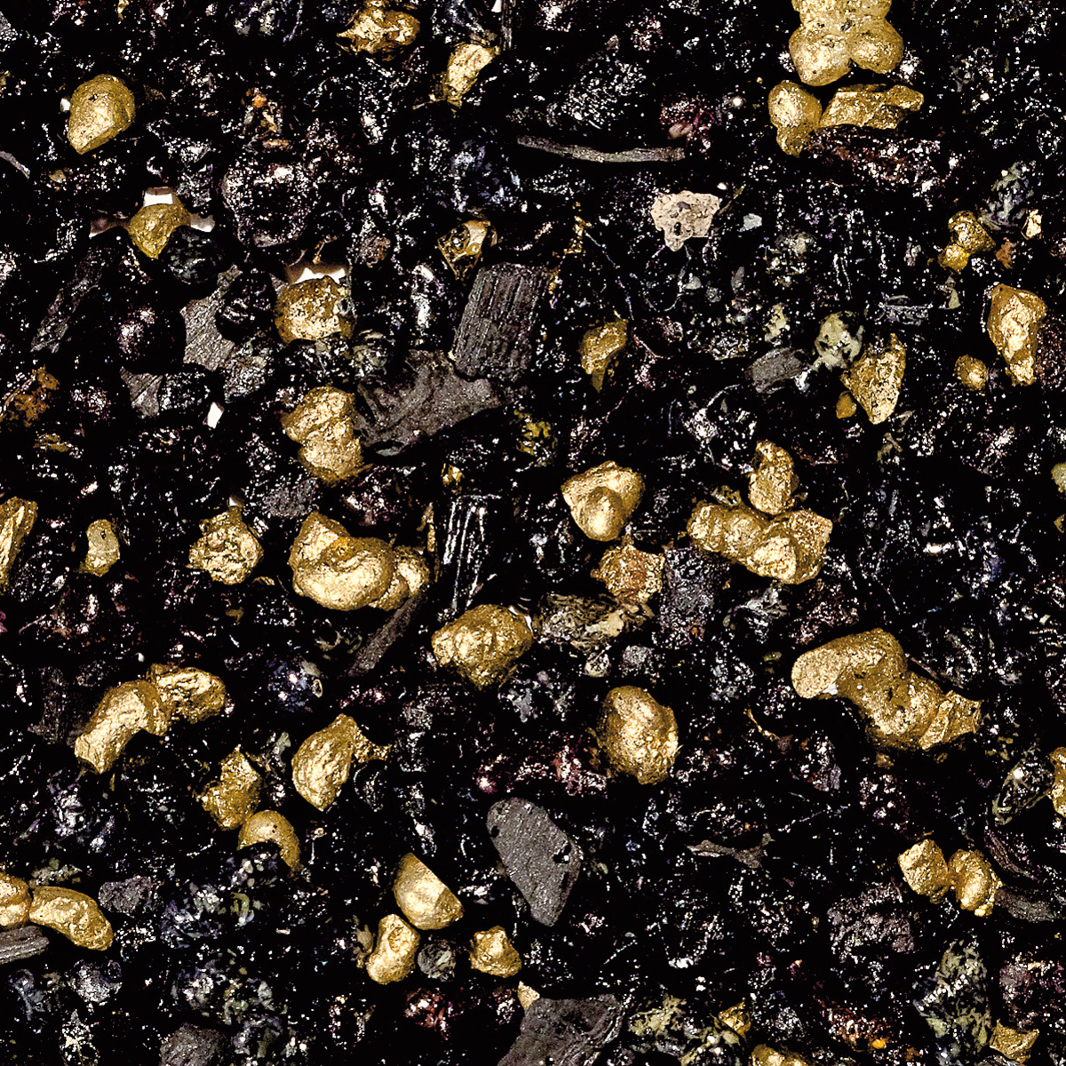 WR2M "Pontifical", Muster 10 gr.