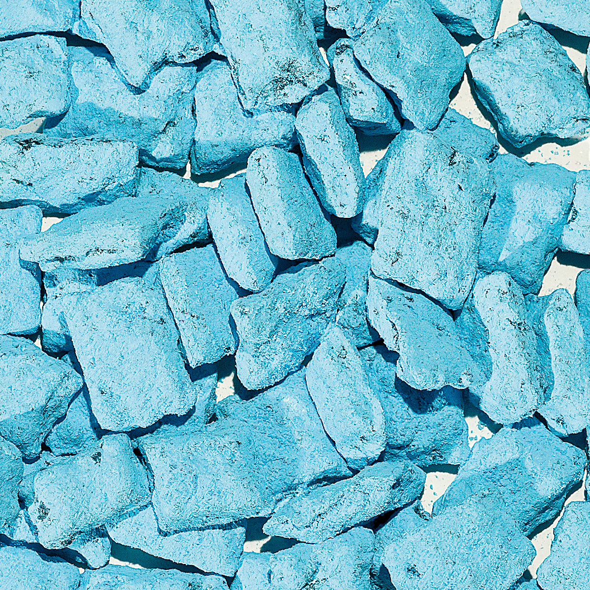 WR27 "Königin der Nacht"